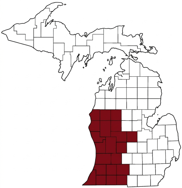 CountyLinesMichigan
